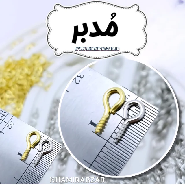 مدبر